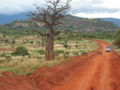 Vej i Tsavo-East-nationalpark