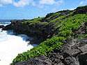 Kipahulu Küstenregion, Haleakala National Park, Maui, Hawaii