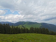 Blick über die Roßbachalm nach Nordosten auf den Roßbachkogel.