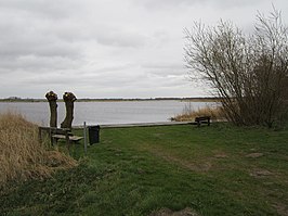 Plas Swarte Broek gelegen ten oosten van Moleneind. Noordelijk deel van natuurgebied Buitenveld.