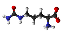 Ball-and-stick model of zwitterion