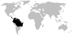 Distribución de Dendrobatidae.