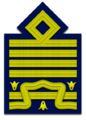 Distintivo di grado per paramano di maresciallo dell'aria