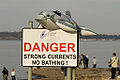 Summer time At Chanonry Point