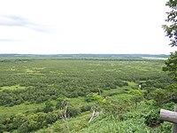 在コッタロ展望台看到的濕地景色