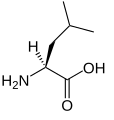 L-Leucin (Leu / L)