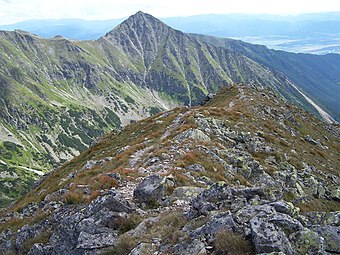 Widok ze Starorobociańskiego Wierchu