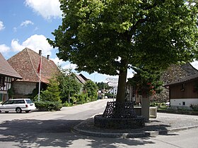 Niederhasli