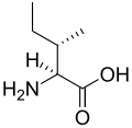 L-Isoleucin (Ile / I)