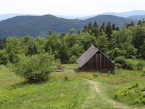 Widok z polany Skalne