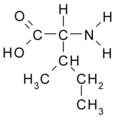 Isoleucin* (Ile / I)