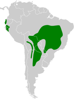 Distribución geográfica de los melanopáridos.