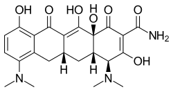 Image illustrative de l’article Minocycline