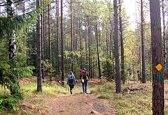 Vandrare på Sörmlandsleden / Brinkslingan.