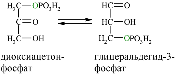 Reaktionsgleichgewicht wird zugunsten von Glycerinaldehydphosphat verschoben