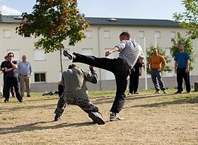 Esquive d'un coup de pied par Max Franz, instructeur en Systema