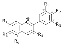 Basic structure of Anthocyans: The flavio-cation