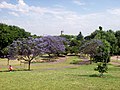 Parque Alberdi, Mataderos.