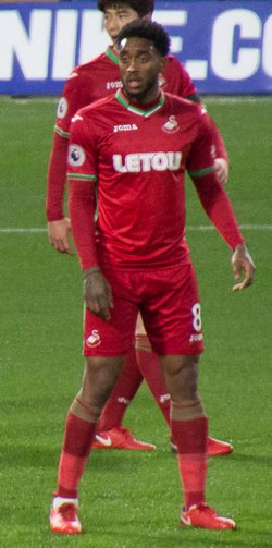 Leroy Fer 2017.jpg