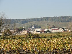 Le Mesnil-sur-Oger ê kéng-sek