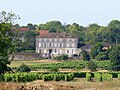 Maison en pierre calcaire derrière un vignoble à St-Même-les-Carrières.