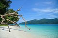 Plage de sable blanc de l'île de Tarutao.