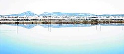 Town's view from the salt ponds