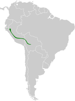 Distribución geográfica del mosquero moñudo oliváceo.