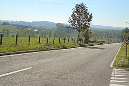 de N462 (Kasteeldreef) tussen Zottegem en Brakel in de Vlaamse Ardennen