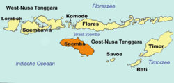 Localización en la provincia de Nusa Tenggara Oriental