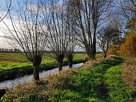 polder Bolgerijen