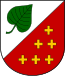 Blason de Strakov