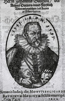 Johann Bauhin