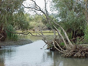 Delta Danube