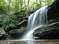 24. A Jonathan's Run vízesés a pennsylvaniai Ohiopyle State Parkban (javítás)/(csere)