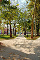 Park Zvezda