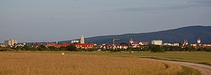 Udsyn over Wiener Neustadt fra vest