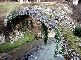 საერთო ხედი