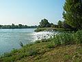 Embouchure de l'Ouvèze au Rhône, rive gauche.