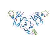 1z0m: the glycogen-binding domain of the AMP-activated protein kinase beta1 subunit