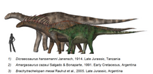 Size comparison