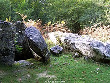 DOLMEN SA ARBILILLES FOREST