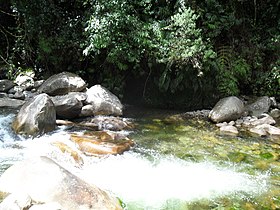 Pedral kuksa koe Betania