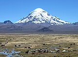 Nevado Sajama