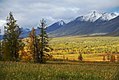 Tydelig avgrensede klimasoner i Uralfjellenes hellinger.