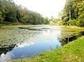 Le château de Trohanet : le deuxième étang situé plus en amont.