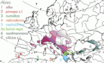 Artspecifik utbredning i Europa.