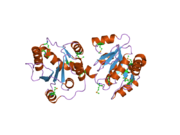 2o6l: Crystal Structure of the UDP-Glucuronic Acid Binding Domain of the Human Drug Metabolizing UDP-Glucuronosyltransferase 2B7