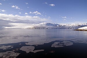 Fjord icefloes, view from Kangilinnguit