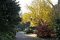 Melbourne Botanical Garden en invierno